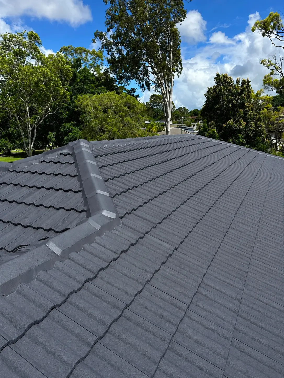 After — Sunshine Coast roof before and after painting