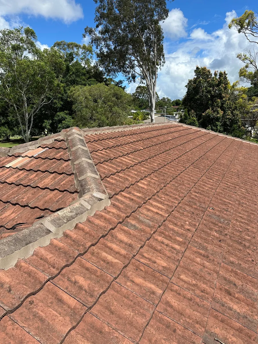 Before — Sunshine Coast roof before and after painting